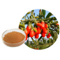 Polvo de jugo de fruta de Goji Berry kosher confiable